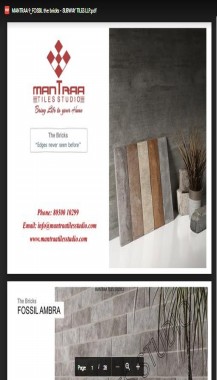 fossil the bricks series